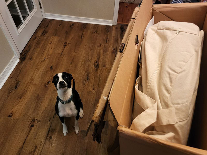 bolt sitting next the the bearaby pupper pod box