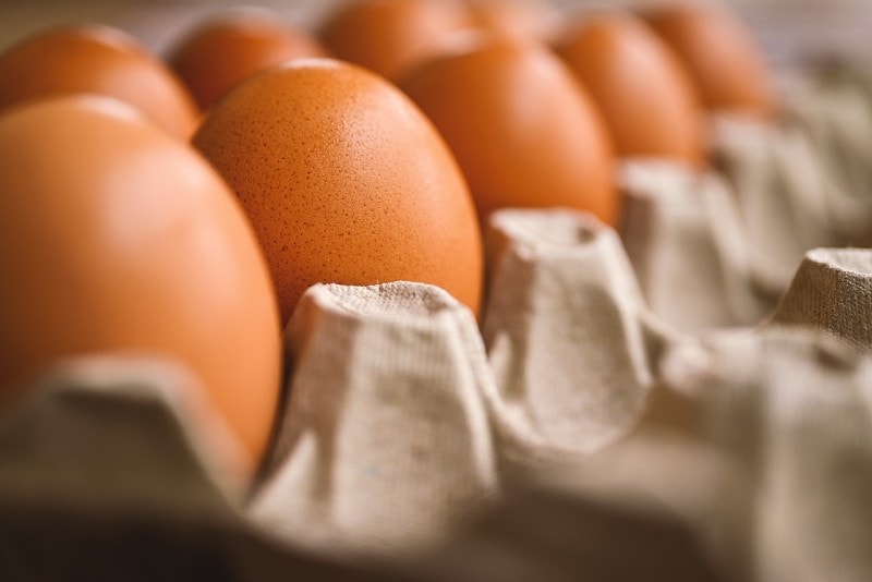 brown eggs