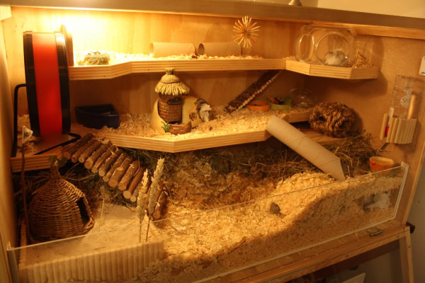 build_your_own_hamster_cage_plan
