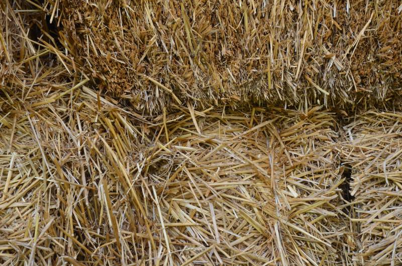 bulks of hay