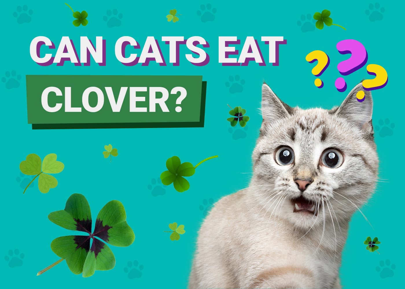 Can Cats Eat Clover
