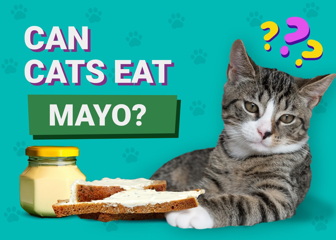 Can Cats Eat Mayo