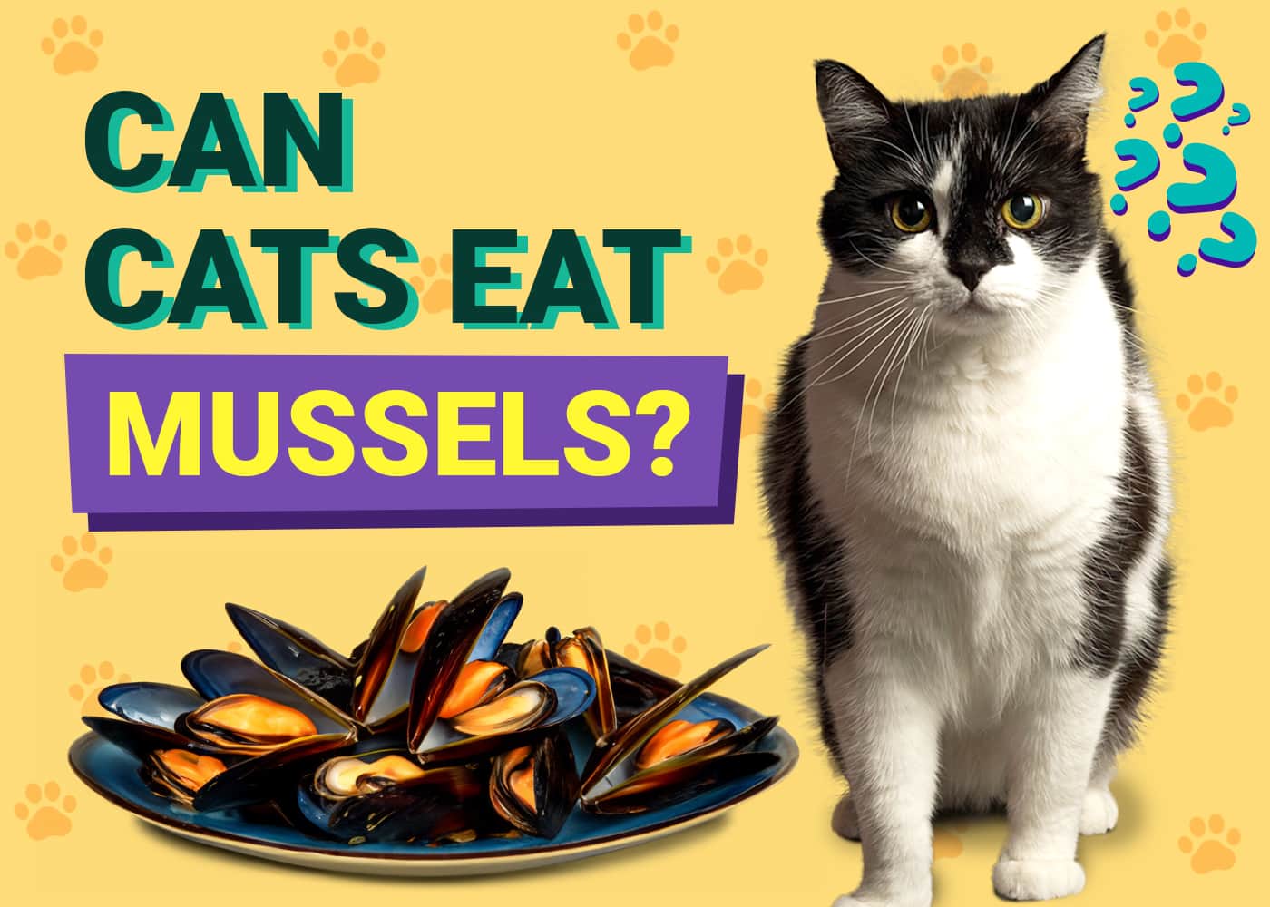 Can Cats Eat Mussels