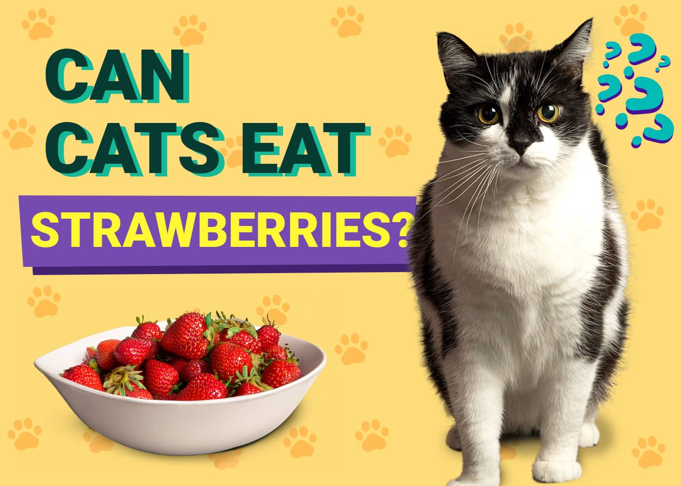 Can Cats Eat Strawberries