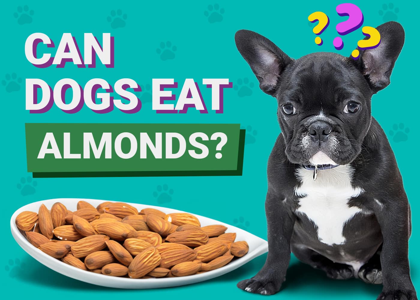 Can Dogs Eat Almonds