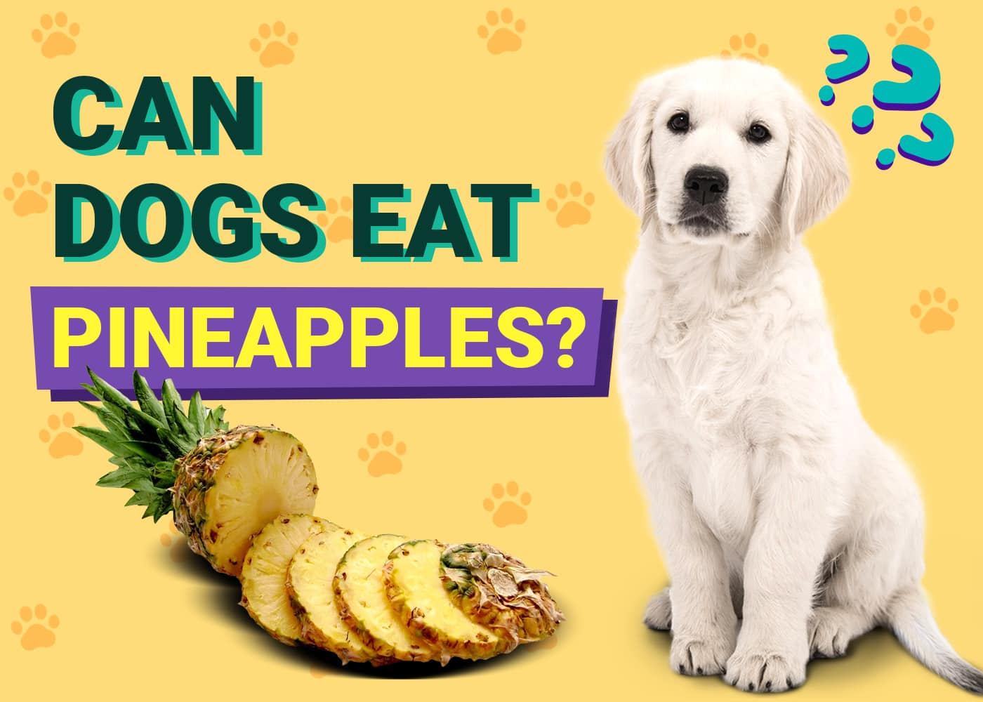 Can Dogs Eat Pineapples