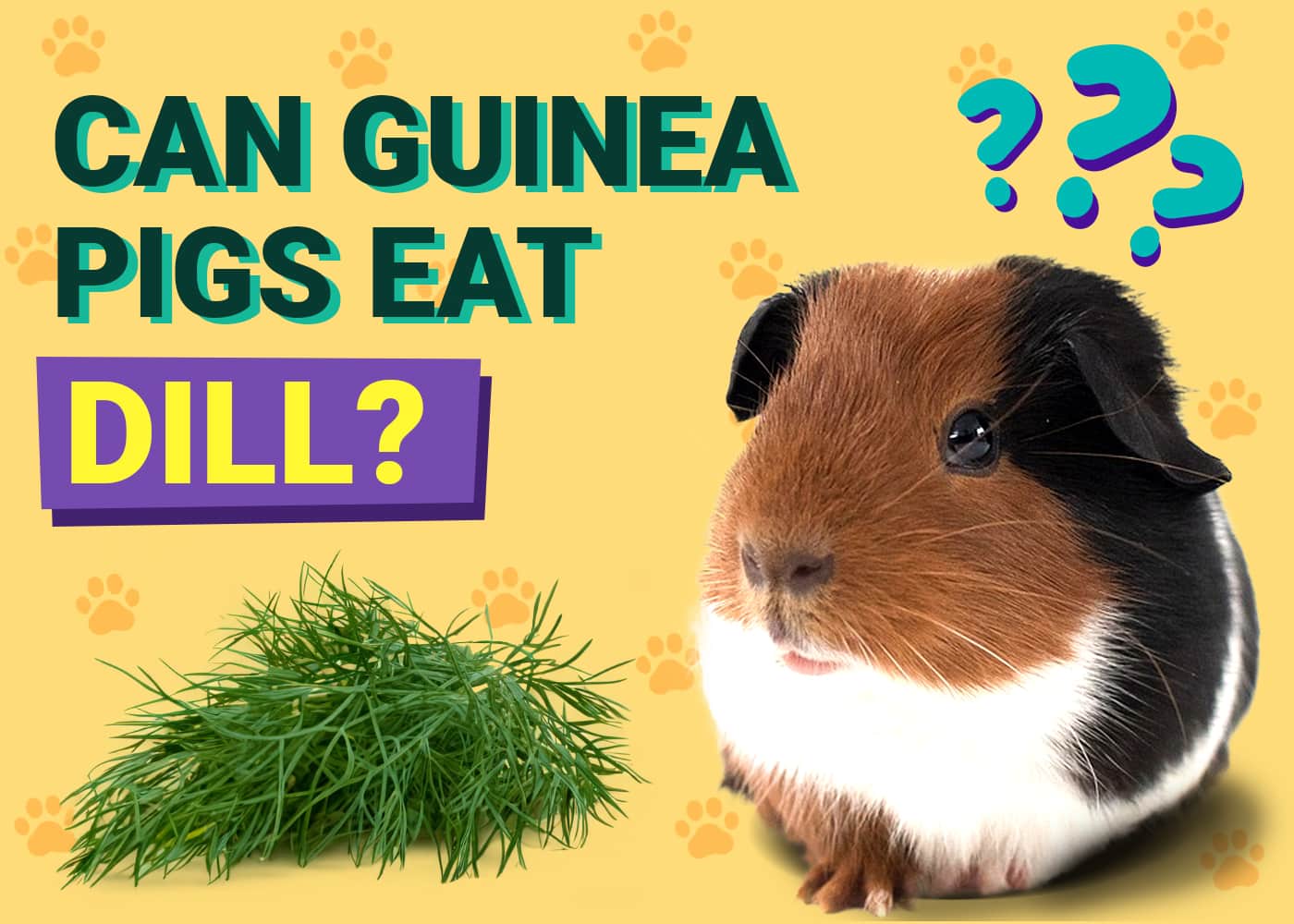 Can Guinea Pigs Eat Dill