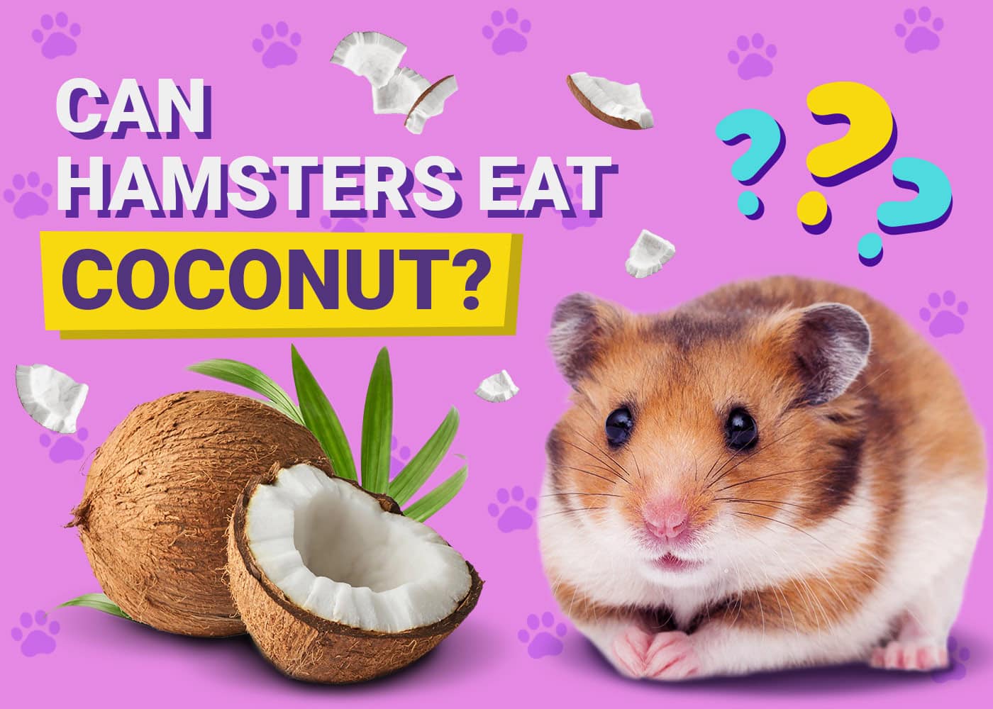 Can Hamsters Eat Coconut
