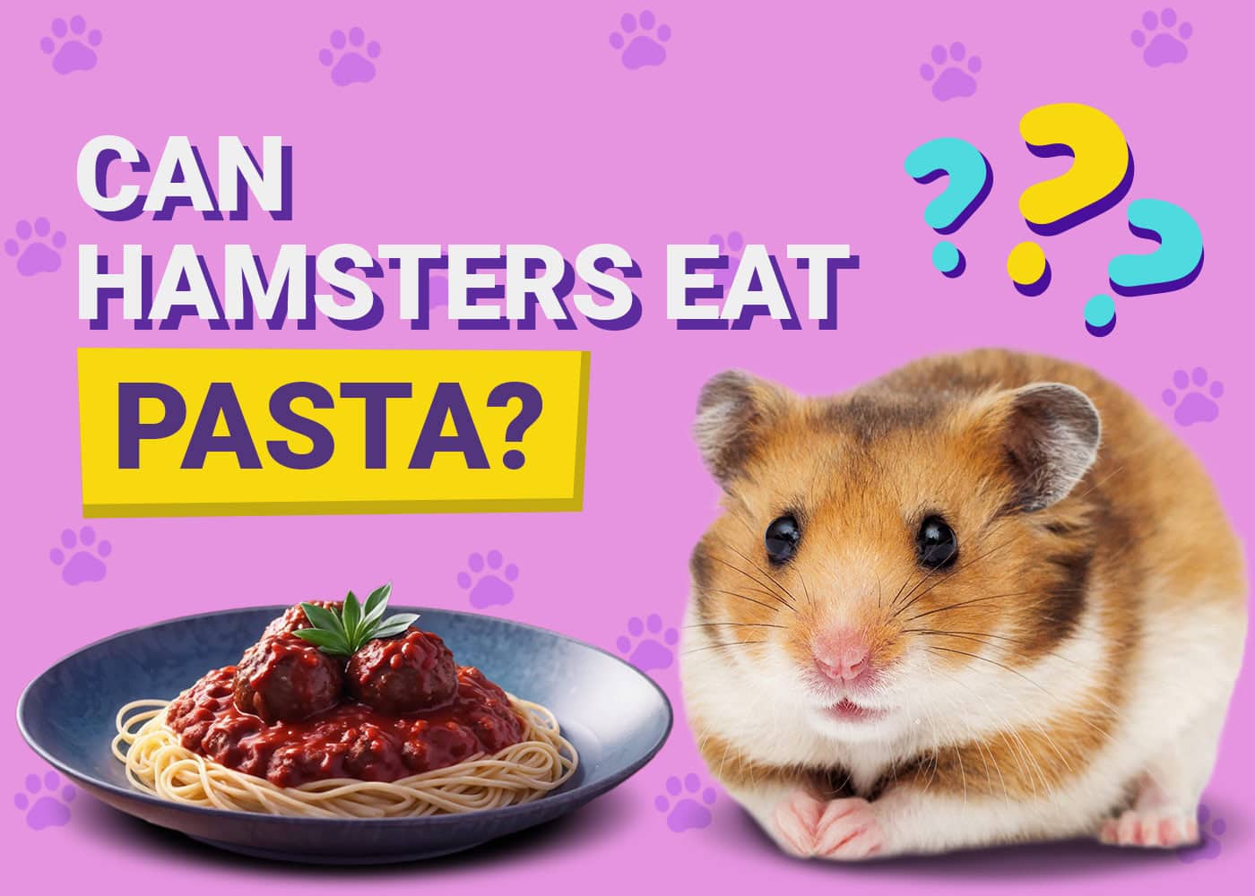 Can Hamsters Eat Pasta