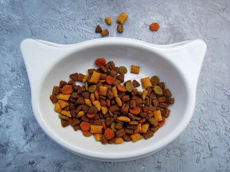 cat food on bowl