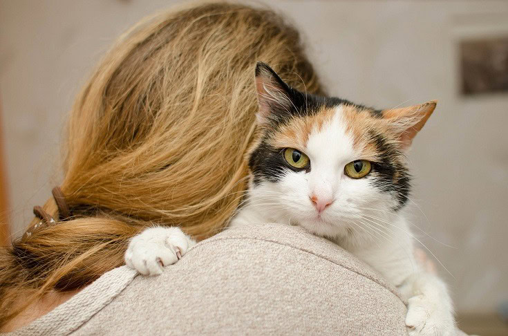 cat love