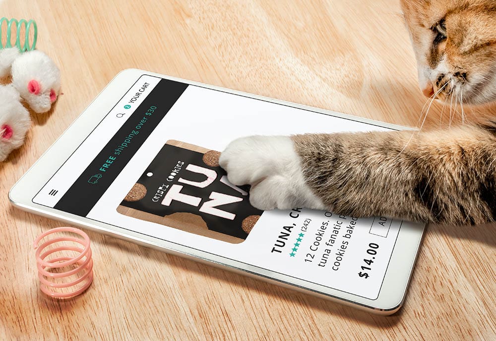 cat ordering food online