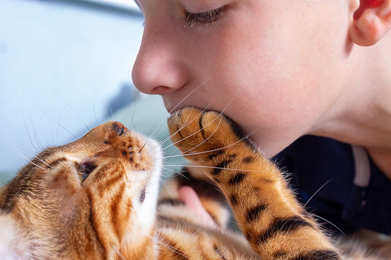 cat putting his paw on owner