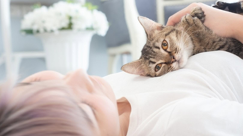cat staring its sleeping owner
