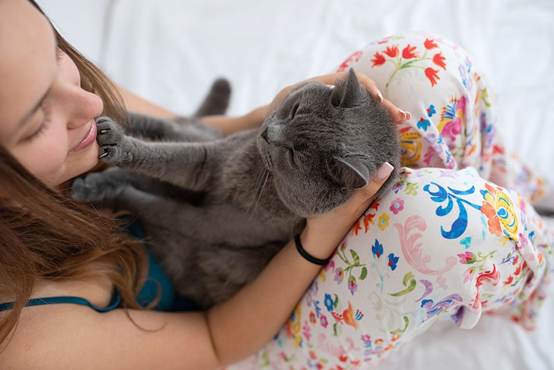 cat touching his owners face