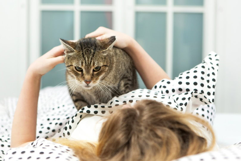 cat waking up her owner