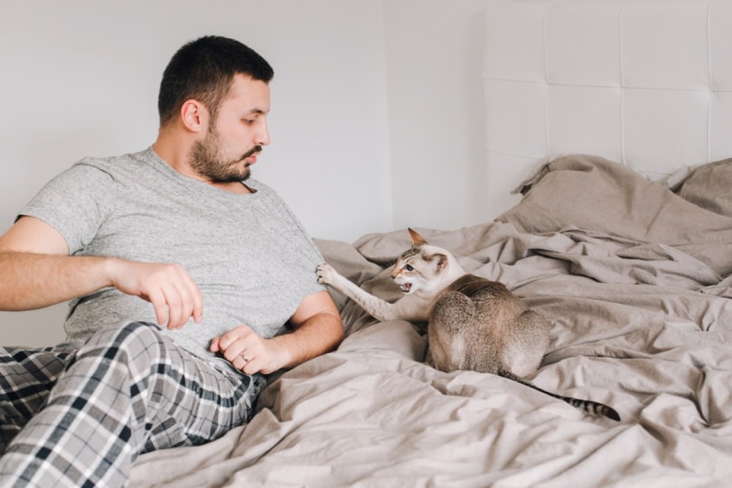 cat waking up its owner