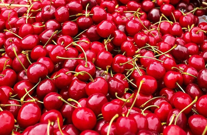 cherry-pixabay