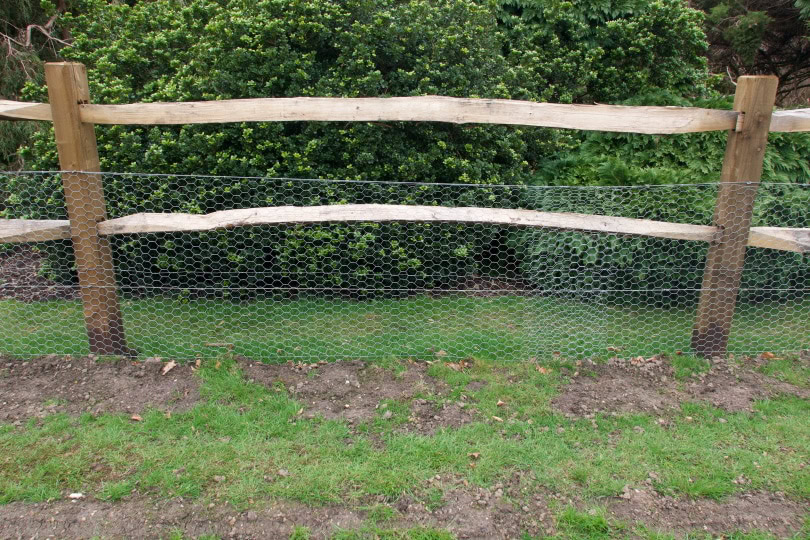 chicken wire fence_Jananz_Shutterstock