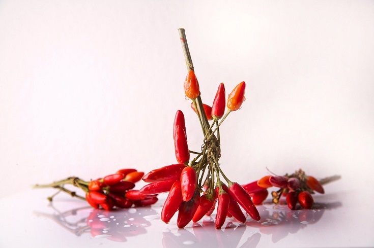 chilli