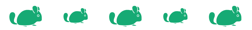 divider-chinchilla