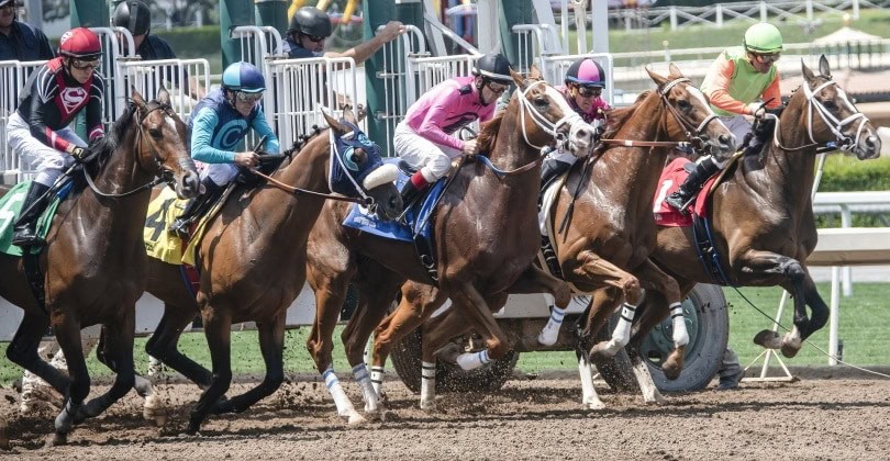 claiming horse race_Clarence Alford_Pixabay