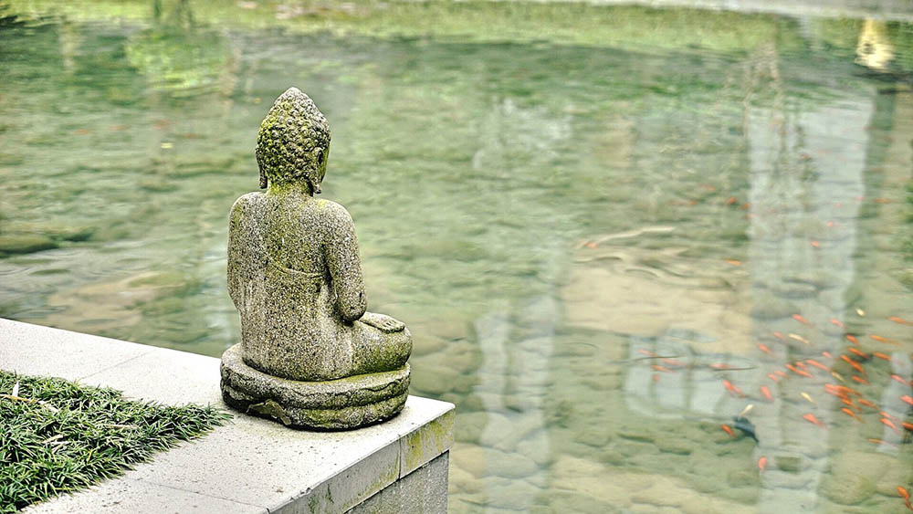clean pond