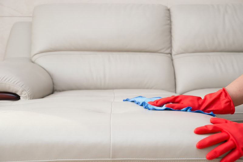 cleaning leather sofa at home
