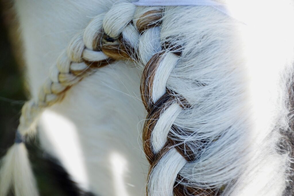 close up braided mane