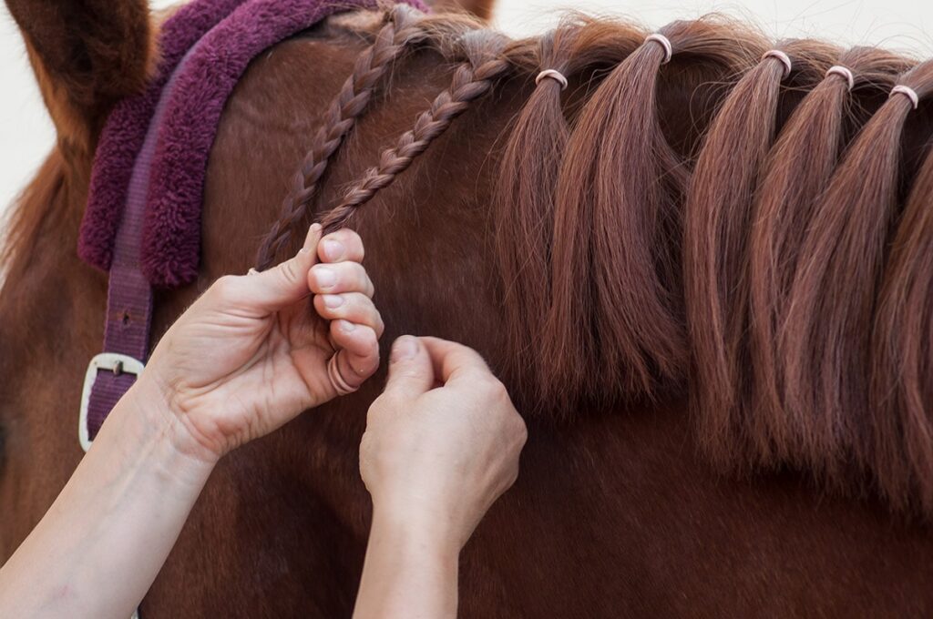 close up hand braiding a horse