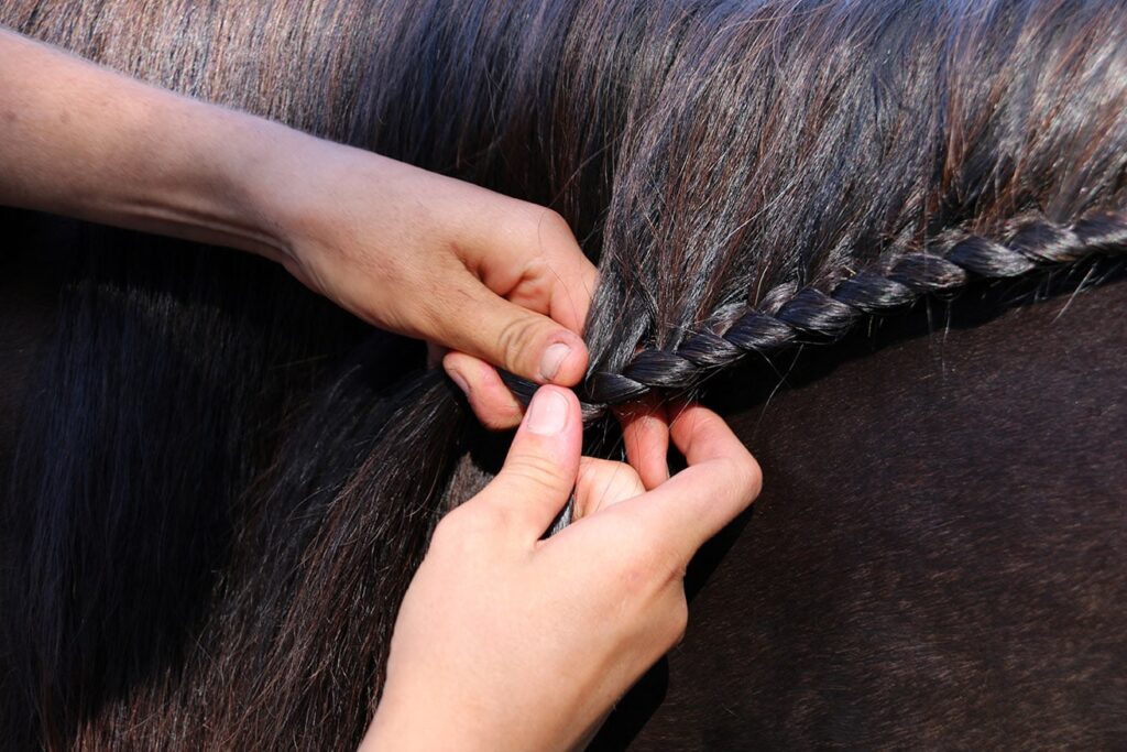 close up person braiding a horse