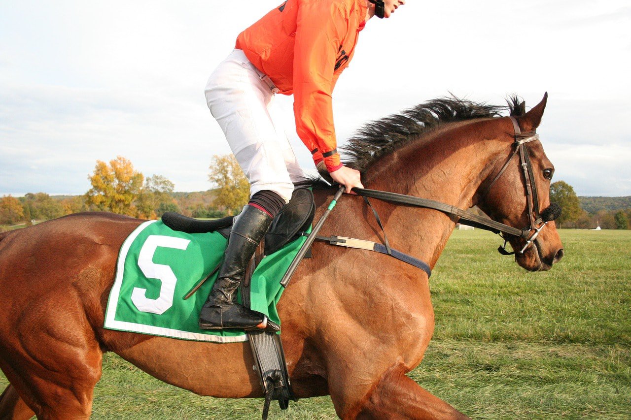 close up racehorse