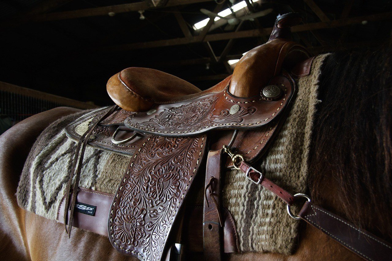 close up western saddle on horse