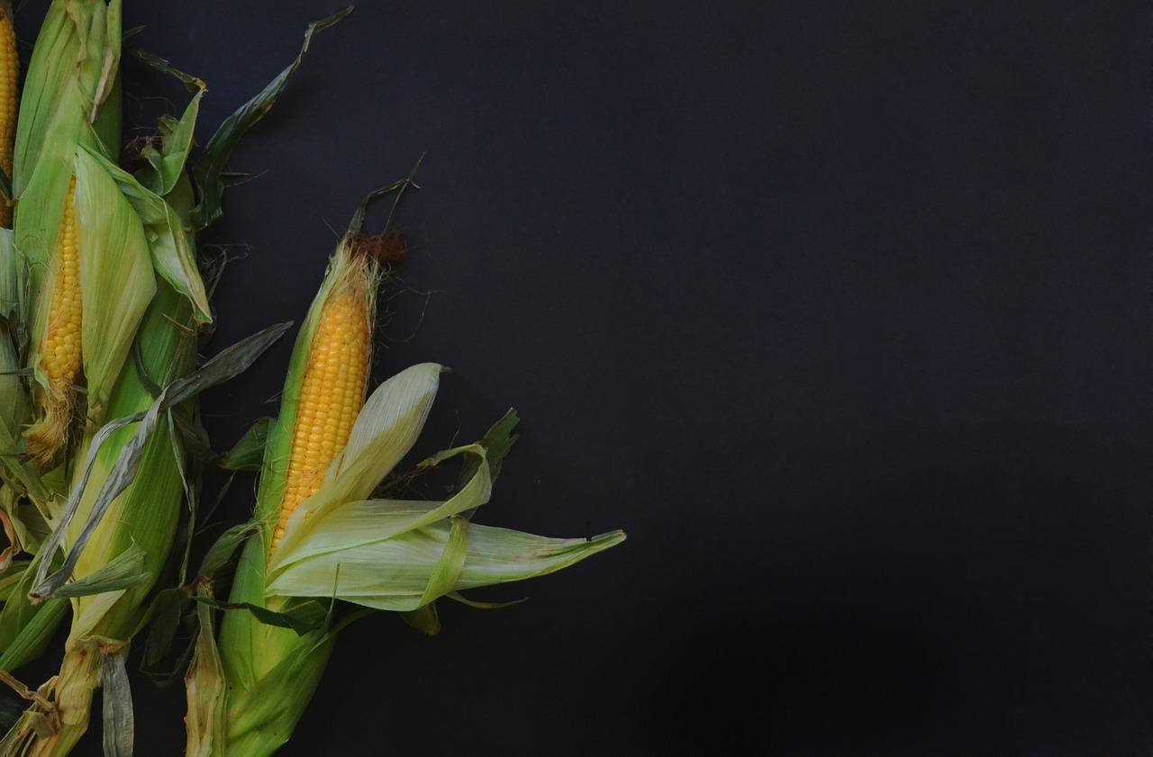 corn husk