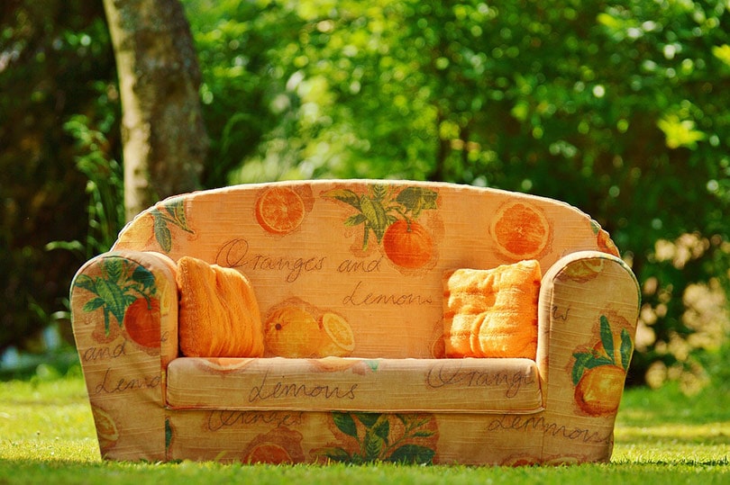couch in the yard