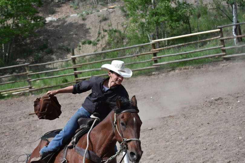 cowboy and horse_esrlaw_Pixabay