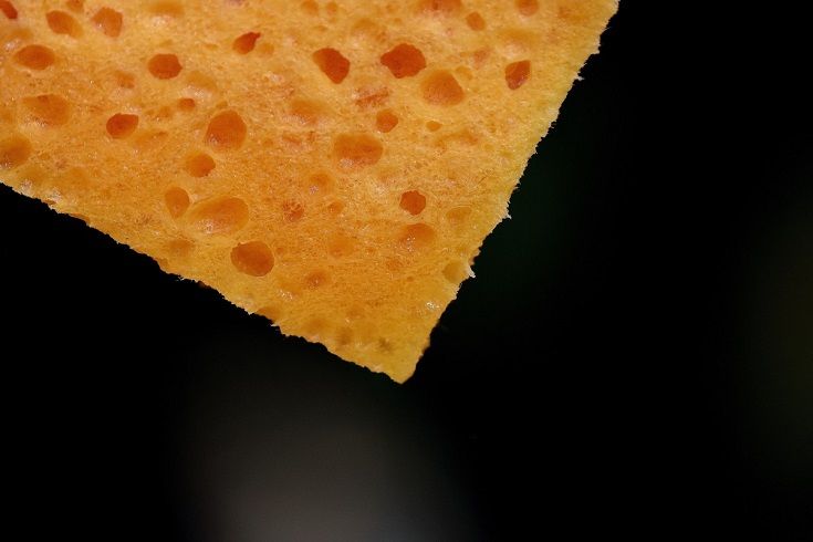 damp sponge
