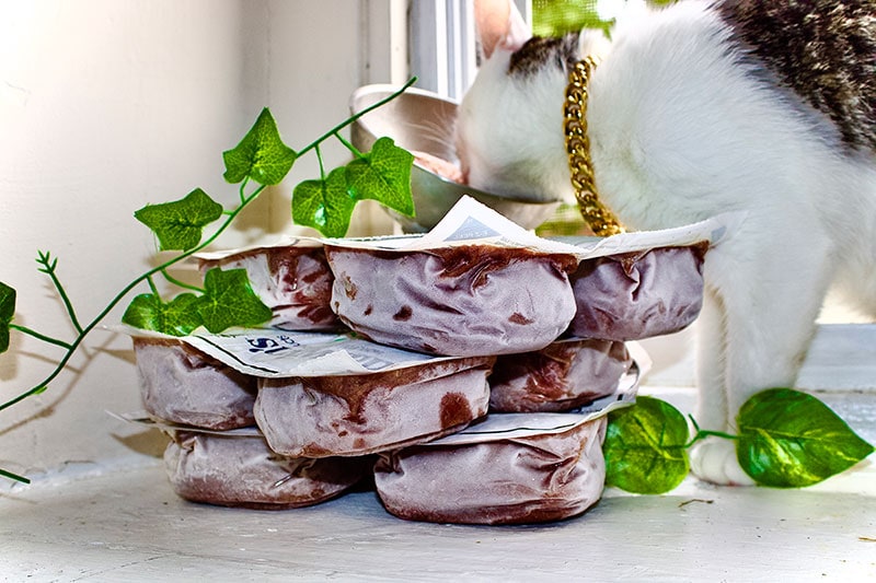 darwin's cat food