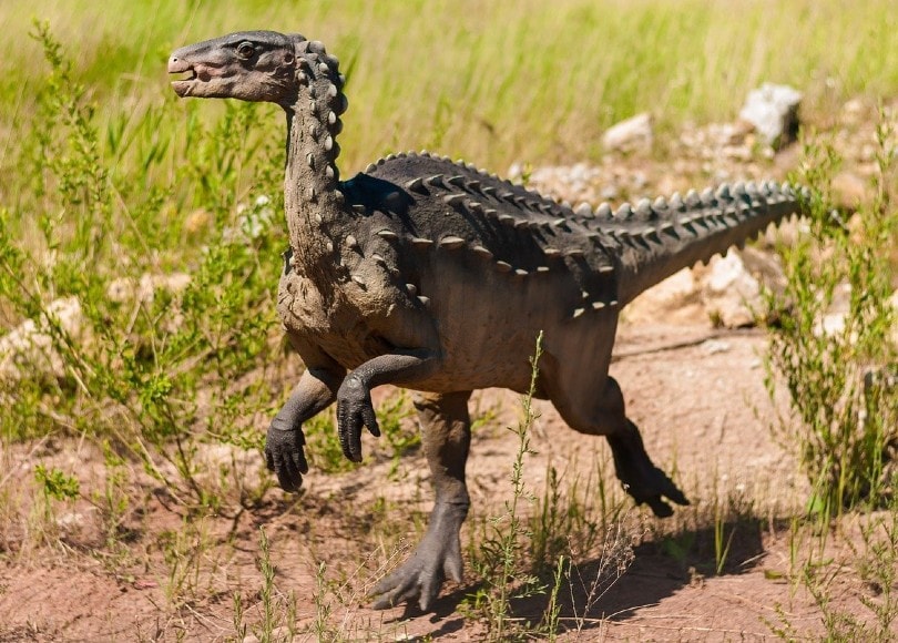 dinosaur