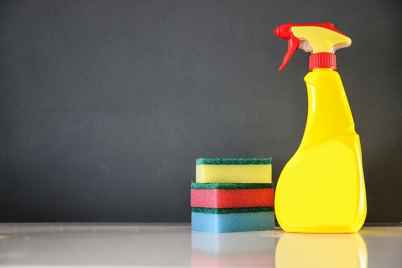 diswashing cleaning-pixabay