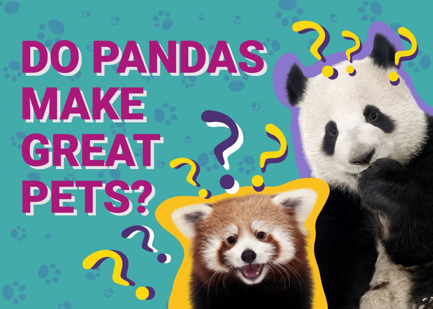 do pandas make good pets