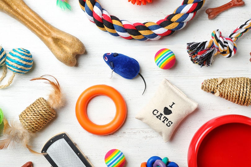 dog and cat toys on wooden background