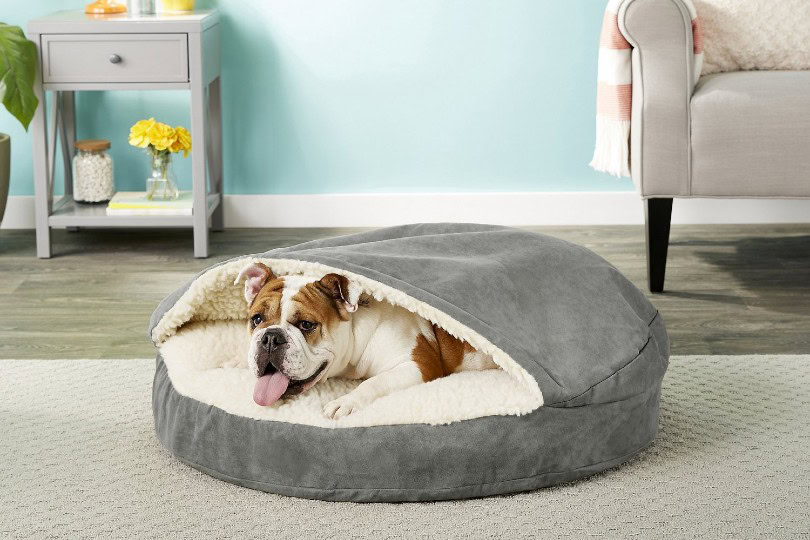 dog in a cozy cave bed at home