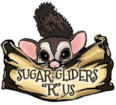 Sugar Gliders R Us logo