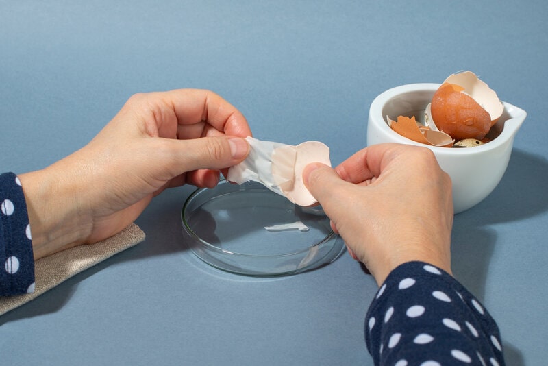 Eggshell membrane