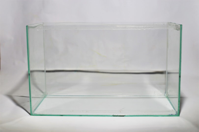 empty aquarium