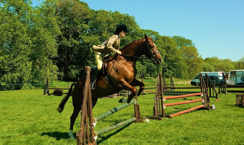equestrian