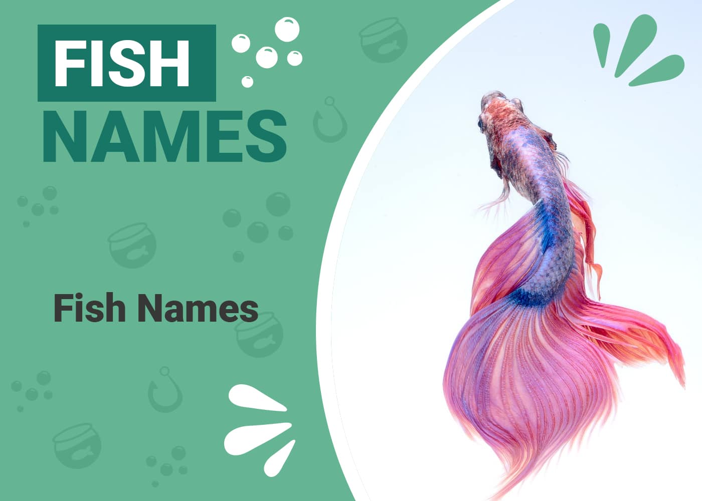 Fish Names