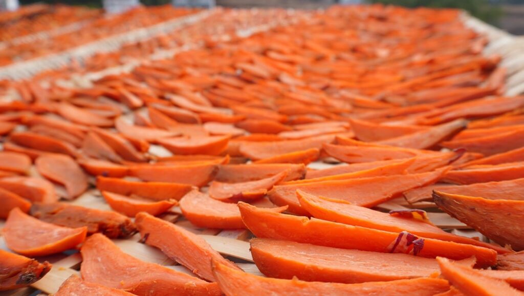 dried sweet potato