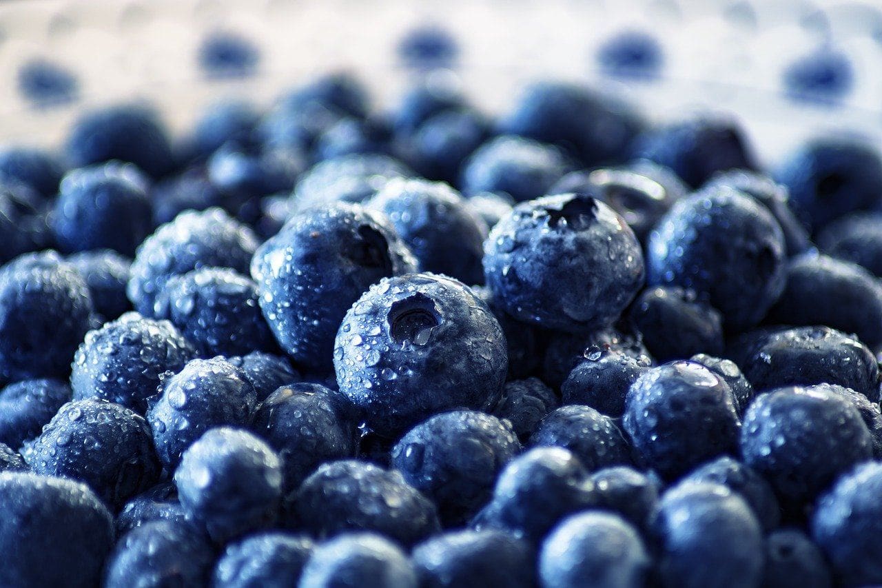 freshly washed blueberries